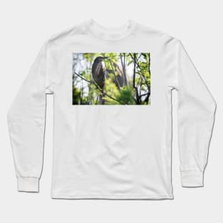 Green Heron Long Sleeve T-Shirt